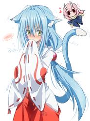 030653808f9a97b8190330e894ec5a50