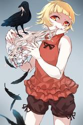 0faf4a8e8d98f1c236e2b9c42b05228d