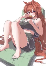 13174352f328490f4de5e64368e85b75