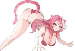 18e303cc96cbef2f9531a5ec58b511a4