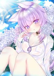 37d7ca2312474a969c73bdb703af025c