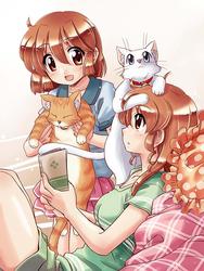 38d3708357187ab0b1aeb9ae2d1003a8