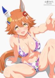 3ca381e04540a071c7895934b4cc8f61