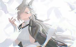 4063262f529412e8dd8382cafb0c1858