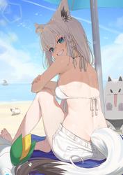 4263d3bc237268d75776c4061f31aeec