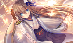 45a528d51e5a22eb120592ce1d55bb33