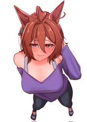 4d207a98a11d0c2a3486a36b4b21fc8f