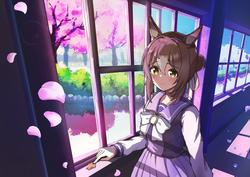 55b03b84d47040a8ee883c990ecdd6dc