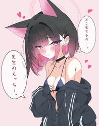 644aa23fc3ed401152c26f284d017a77