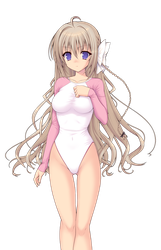 645516f09d401970e52928dc479c4c0e