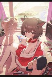 6ae8d541d55f8119249a29ed0277a1b8