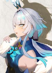 8558441127637013f47b097320f294eb