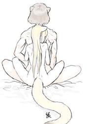 85ba6234615a32b306d701033eb62641