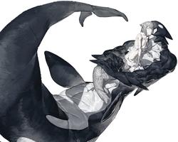 8b4957f035cbc576a33e07c40c206f08