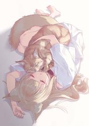 8f60a8cb01568747a579232ca9826f11