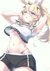 909c335e32bc8e4bc4da8d9f08677954