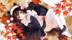 9ab002f07e6855cec15e150fe4eaf416