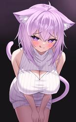 9e81d499288cce9ede7855ad3d0399fc