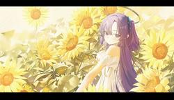 a9546c0af22c63c76eece0a45dcab019