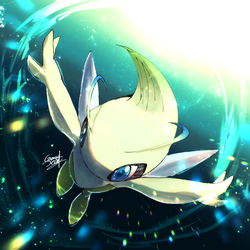 b342ccd0596621702f5aa55ace716904