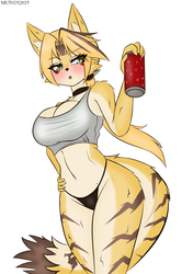 b3d6bdf13755eb1f9bd00743b4877296