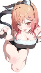 b6243e9f390560239820f17c73066f8f