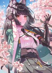 c080ed11e0f6c263cd66b1758fb084c1