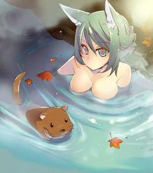 c91e8156a81fe5915eca4b1d211930b1