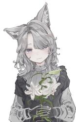 c92c703c62df2c00b6094d2b4223e113