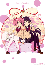 c93653ed6c68e8e143b3cf4041870cc2