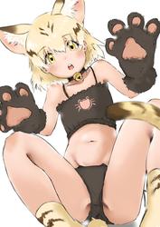 ccef0e68143c70abc7d02932187fbebb