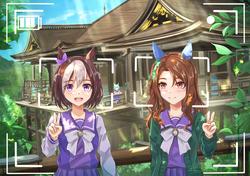 df99626498f5e0b5ad0bd773193b4508