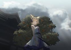 dfedf542101911512df2fd87f7dc18ef