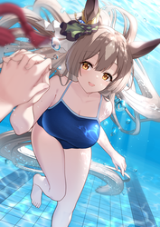 ff8dbaf7e8d7f32e3b0aaa7b0161dda0